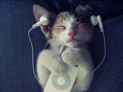 Nice Headphones  Ipod on Ipod Kittens Music Photography Favim Com 114918